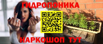 гидра Пушкино