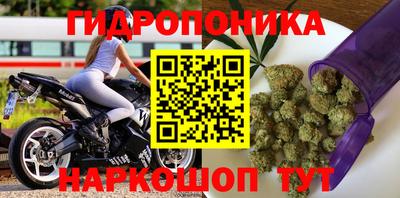 героин Пугачёв